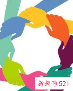 团队凝聚力拓展团建心得体会