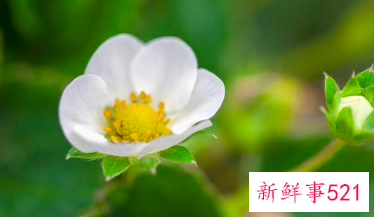 巨蟹座到底有多厉害