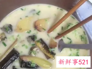 黄鳝怎么炖汤好吃又营养