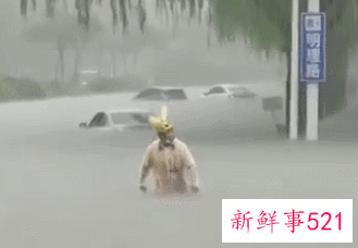 河南暴雨受灾流浪动物救援渠道