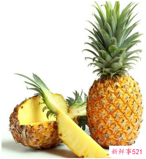 菠萝和菠萝蜜的区别