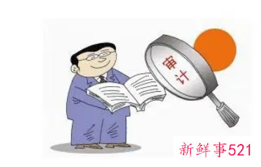 审计人员的工作总结及不足