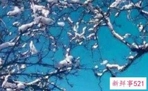 冬天坐月子注意事项