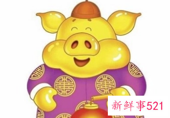 71年属猪51到52岁好运气