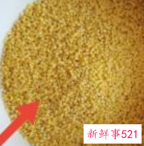 小米粥养胃做法窍门