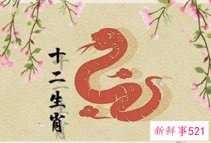 属蛇哪几个月财运最好