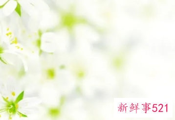 50岁女人优雅的网名