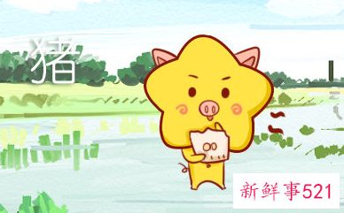 属猪和属鼠婚配怎么样