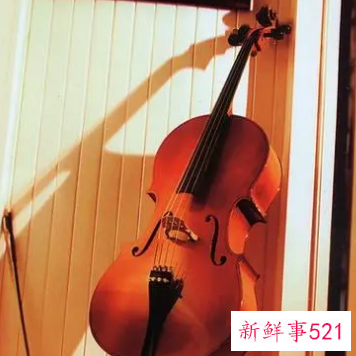 梦见大提琴有什么征兆