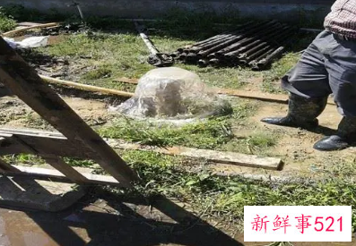 家里打水井什么方位好