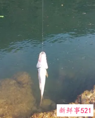 怎么看鱼漂知道鱼上钩