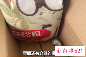 买三只松鼠送仓鼠怎么回事