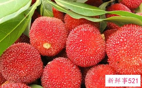 吃杨梅的好处和坏处