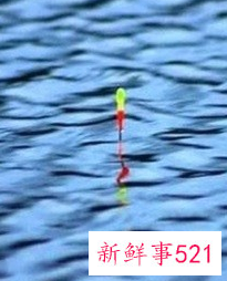 怎么看鱼漂知道鱼上钩