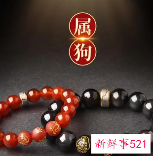 适合属狗人长期佩戴的吉祥物