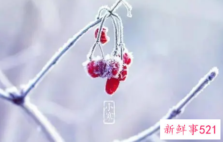 小大寒指的是小寒过了以后就是什么