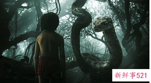 世界上真正的巨蛇