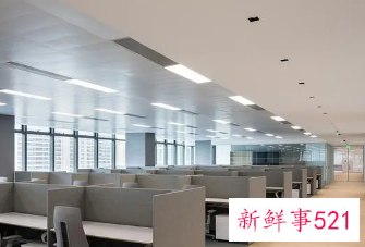 公司好听有创意的名字