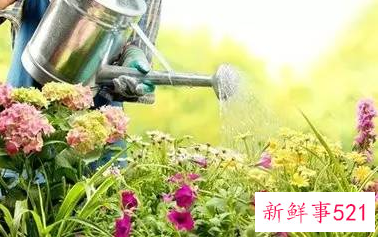 退休后培养什么爱好