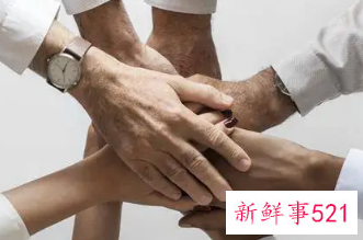 团队凝聚力拓展团建心得体会