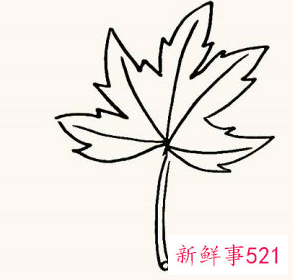 枫叶怎么画步骤