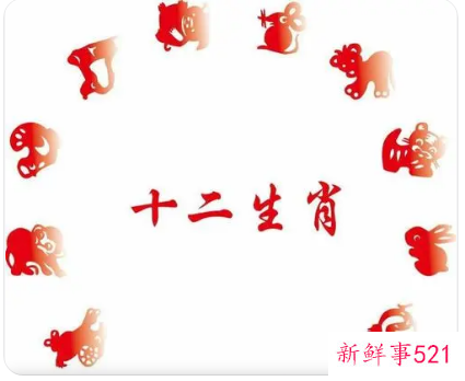 成语解十二生肖