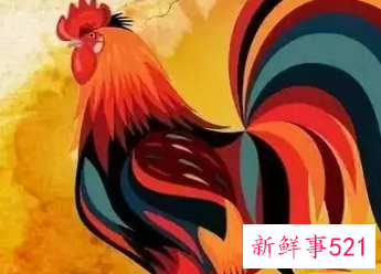 属鸡男喜欢女人的打扮