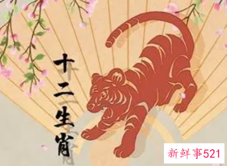 是金虎命五行属什么