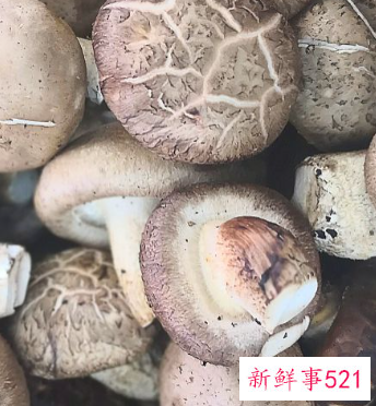 赤松茸菌怎么保存