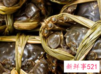 为什么螃蟹寒性大