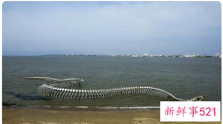 世界上真正的巨蛇