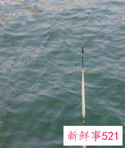怎么看鱼漂知道鱼上钩