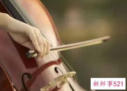 梦见大提琴有什么征兆