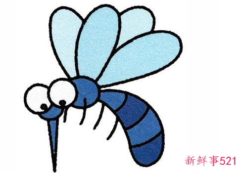 哪种血型最招蚊子