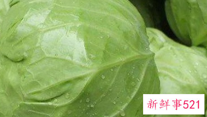 7月份可以种包菜吗