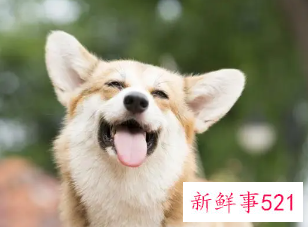 搞笑押韵六个字网名