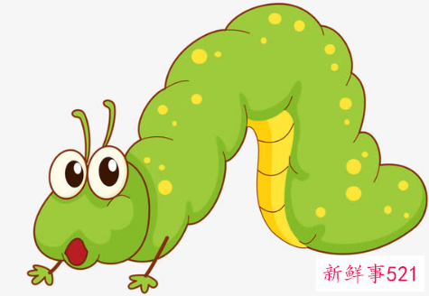 孕妇梦见虫子在身上爬