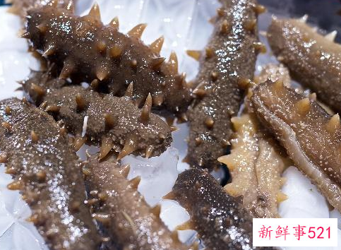 吃海参对身体的好处有哪些