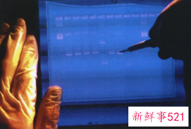 人类基因组完整图谱历时22年绘制完成