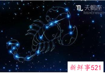 哪个星座适合做领导