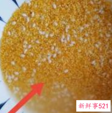 小米粥养胃做法窍门