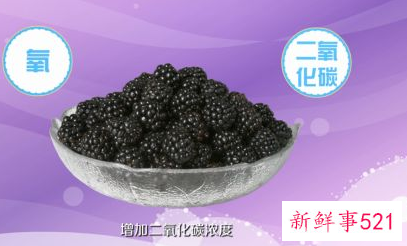 桑葚应该如何保存