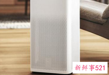 新车气味大有什么方法去味