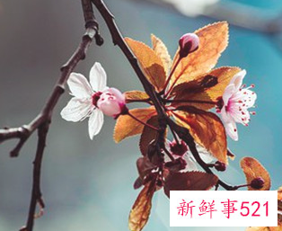 挽回前夫最好的办法