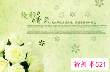 50岁女人优雅的网名