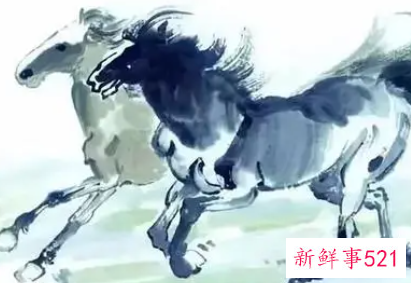 属马白羊座和什么生肖星座最配