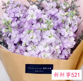 表白一般送什么花