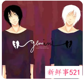 双子男最宠爱哪位星座特别宠爱