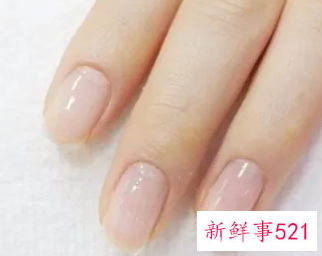 显气质的指甲颜色