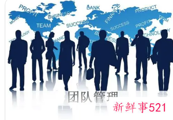 团队管理要点